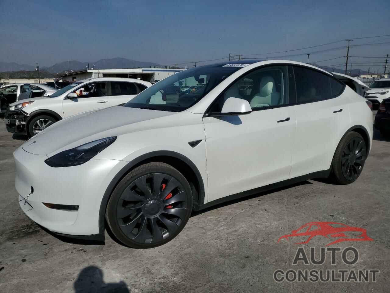 TESLA MODEL Y 2024 - 7SAYGDEF5RF063647