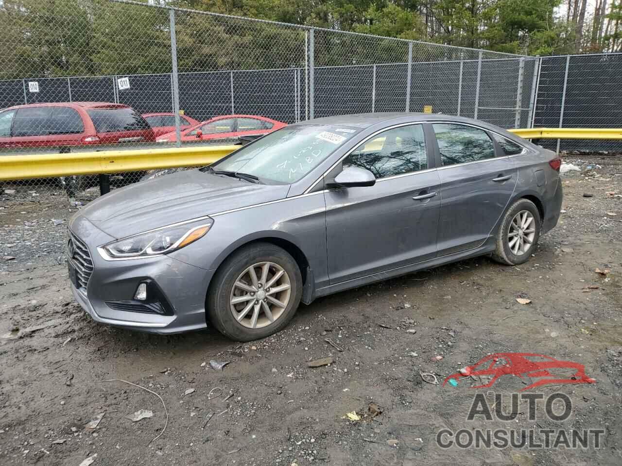 HYUNDAI SONATA 2019 - 5NPE24AF0KH741118
