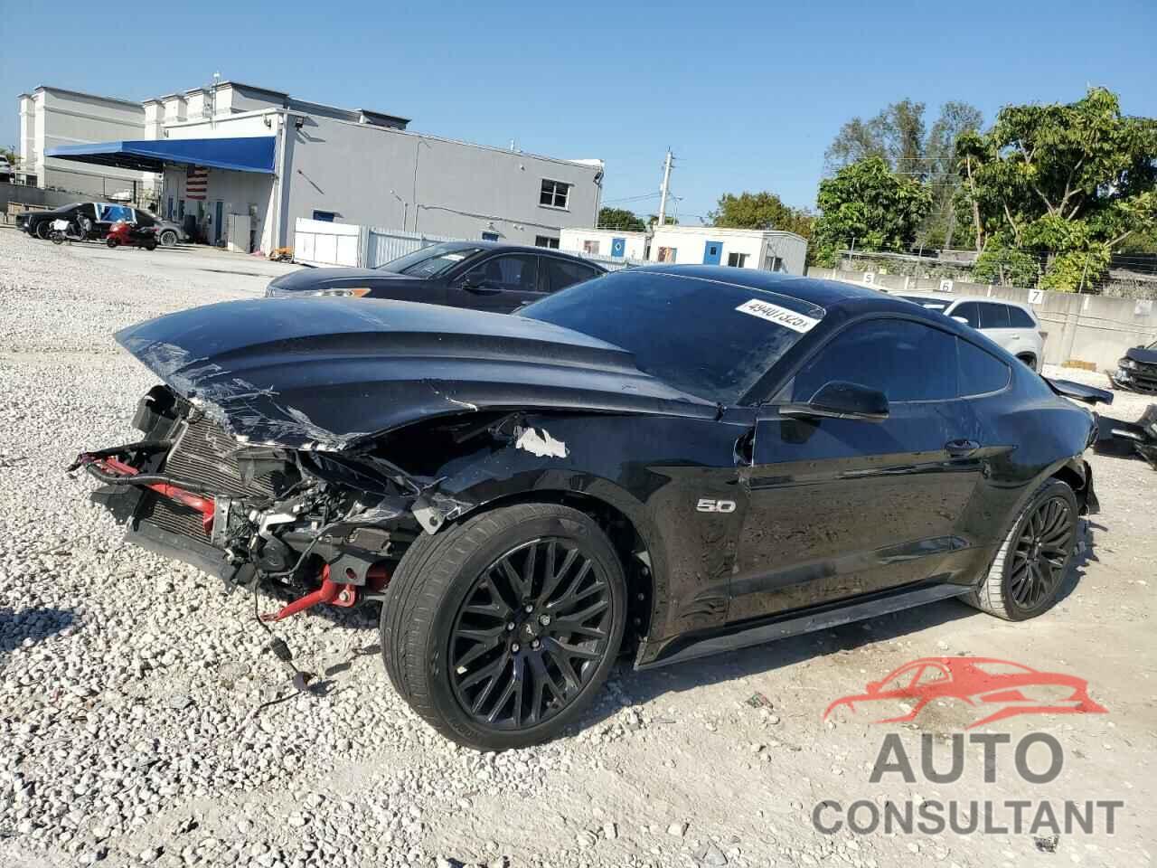 FORD MUSTANG 2019 - 1FA6P8CF8K5116854