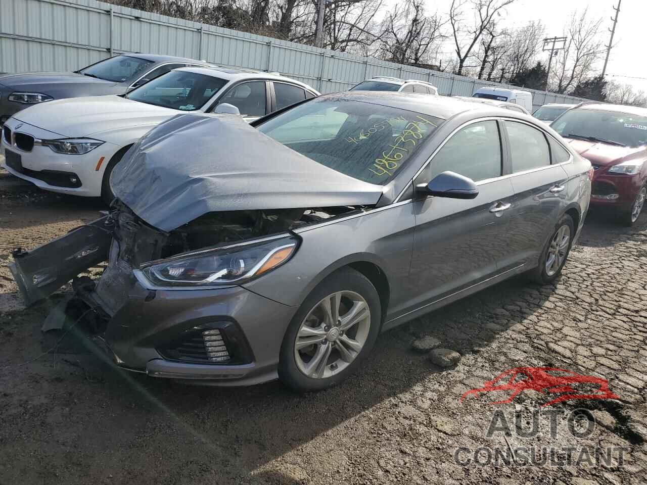 HYUNDAI SONATA 2019 - 5NPE34AF5KH775424