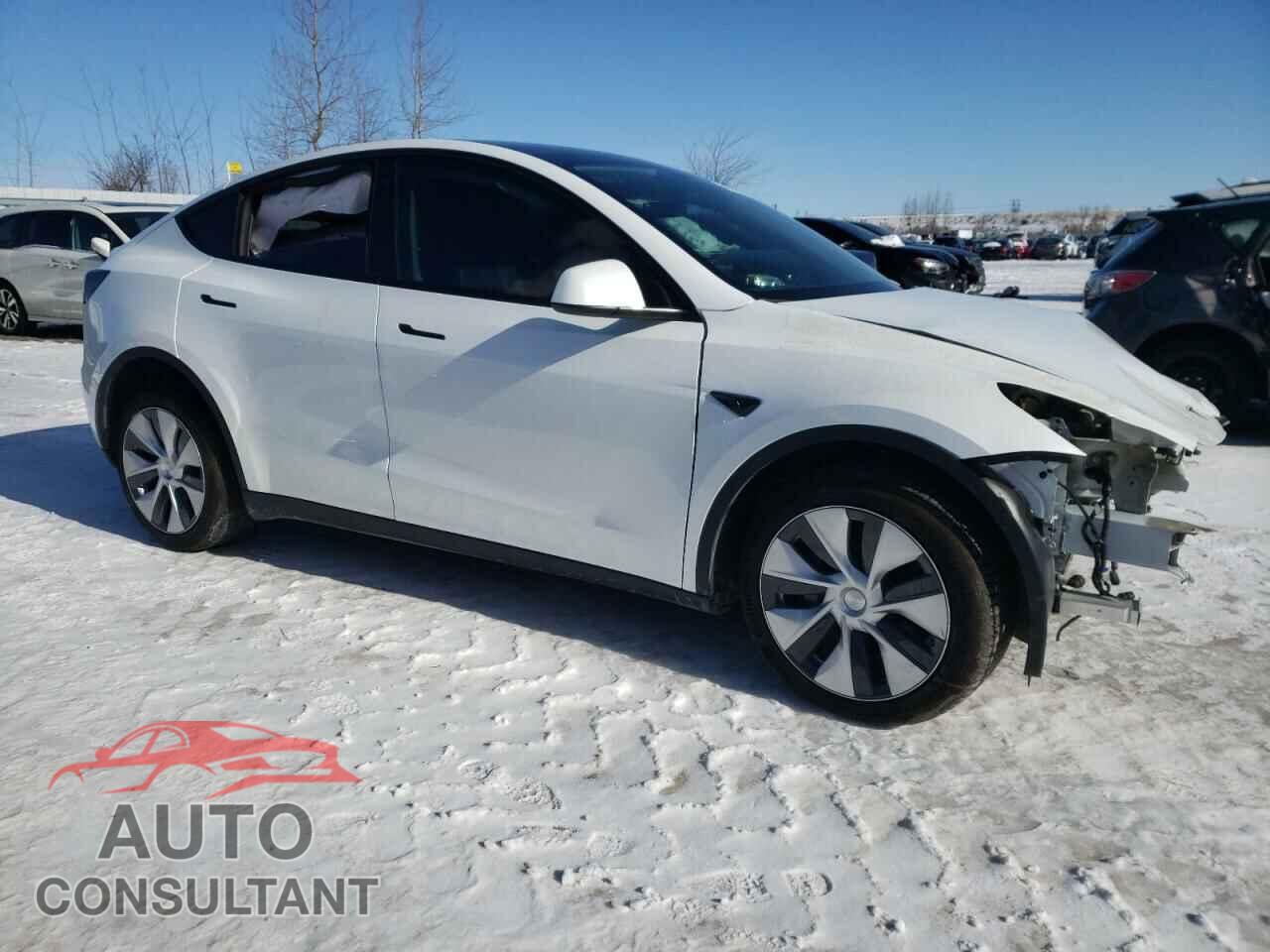 TESLA MODEL Y 2022 - 7SAYGDEE4NF385018