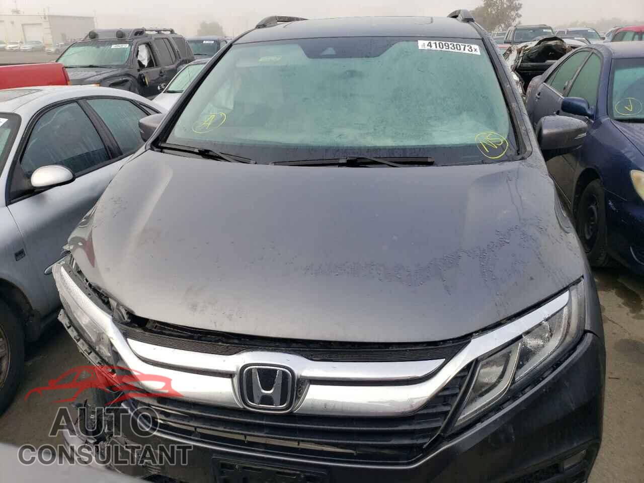 HONDA ODYSSEY 2019 - 5FNRL6H76KB110901