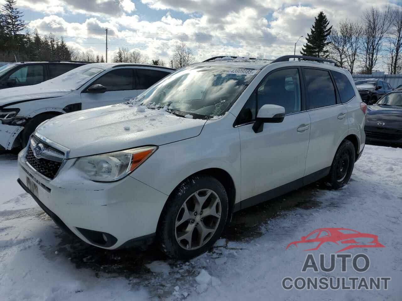 SUBARU FORESTER 2015 - JF2SJCTCXFH438341