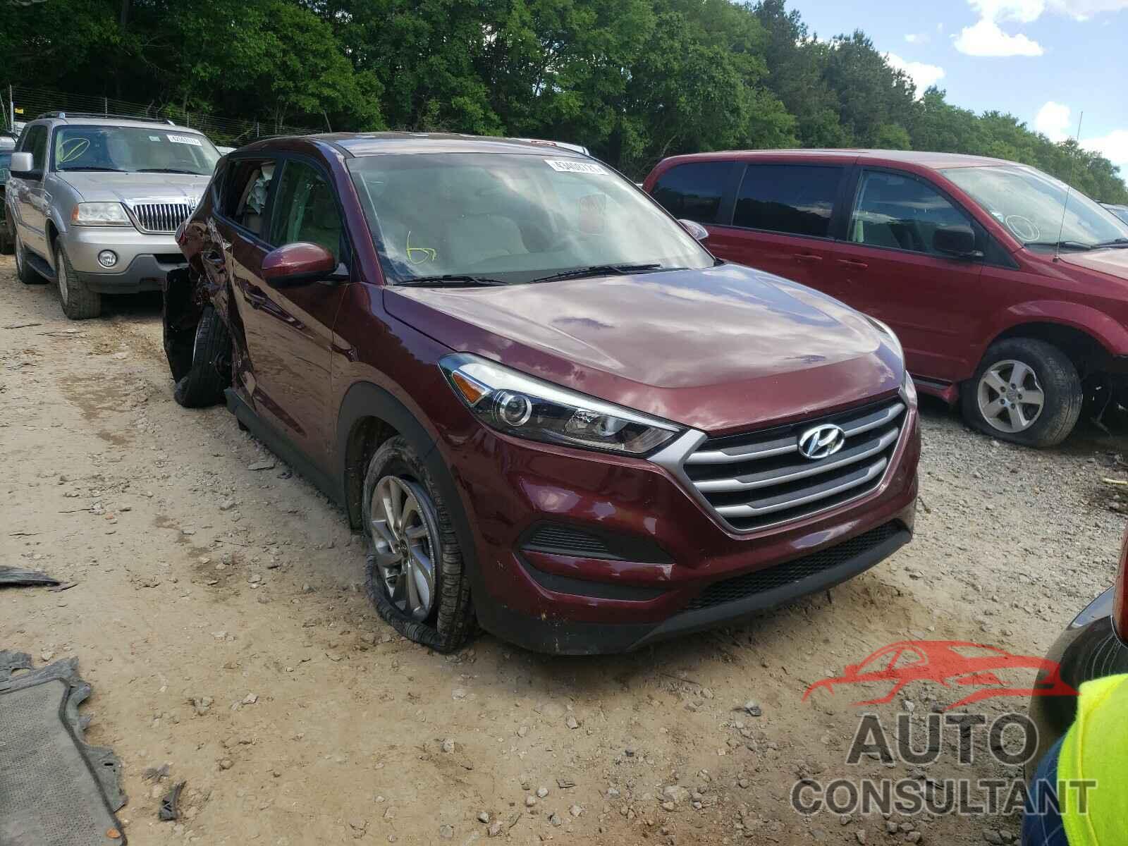 HYUNDAI TUCSON 2017 - KM8J23A47HU313340