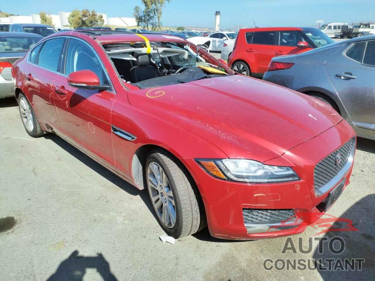 JAGUAR XF 2016 - SAJBD4BV4GCY20413