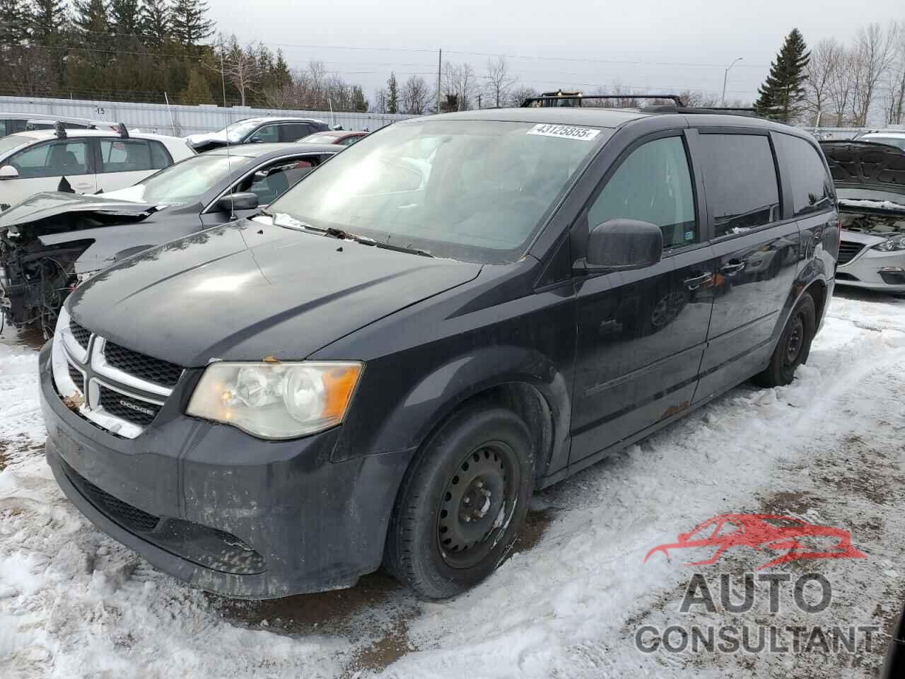 DODGE CARAVAN 2011 - 2D4RN4DG4BR778661