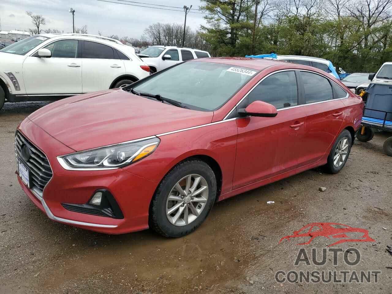 HYUNDAI SONATA 2019 - 5NPE24AF1KH736316