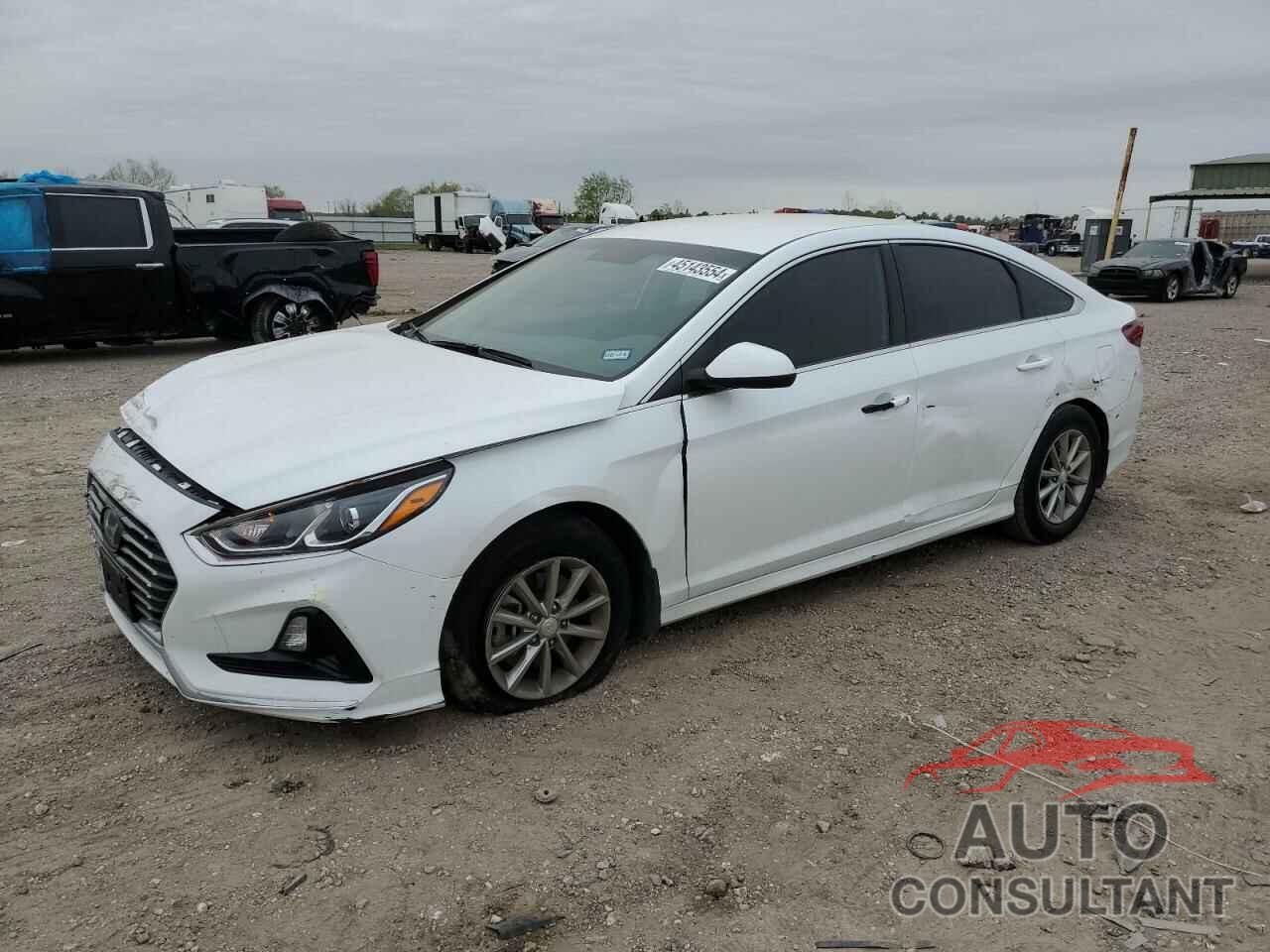 HYUNDAI SONATA 2019 - 5NPE24AF0KH806629