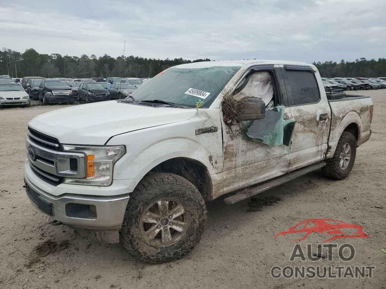 FORD F-150 2019 - 1FTEW1E54KFA66212