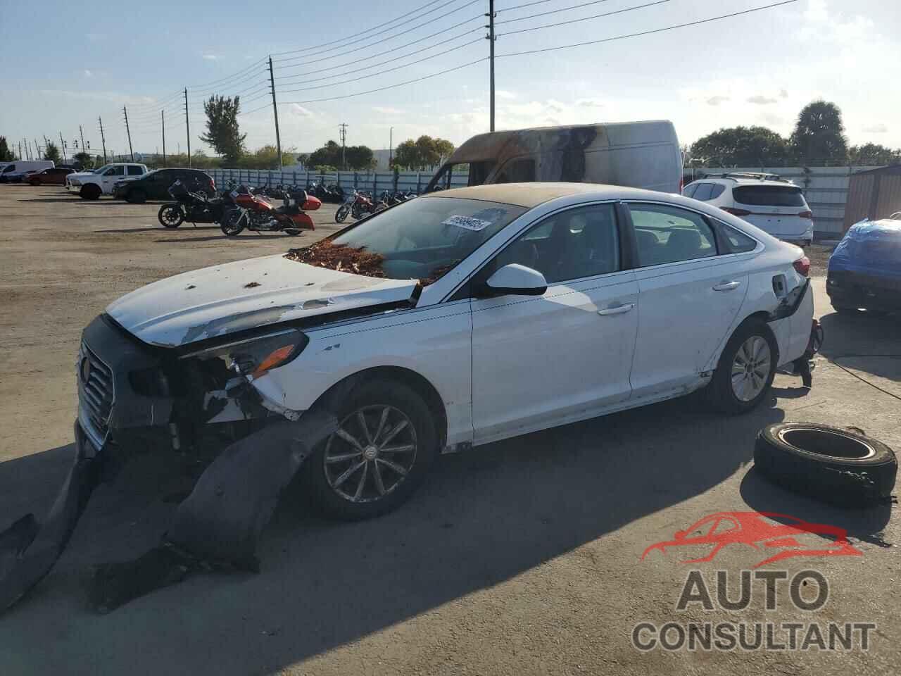 HYUNDAI SONATA 2018 - 5NPE24AF5JH667984