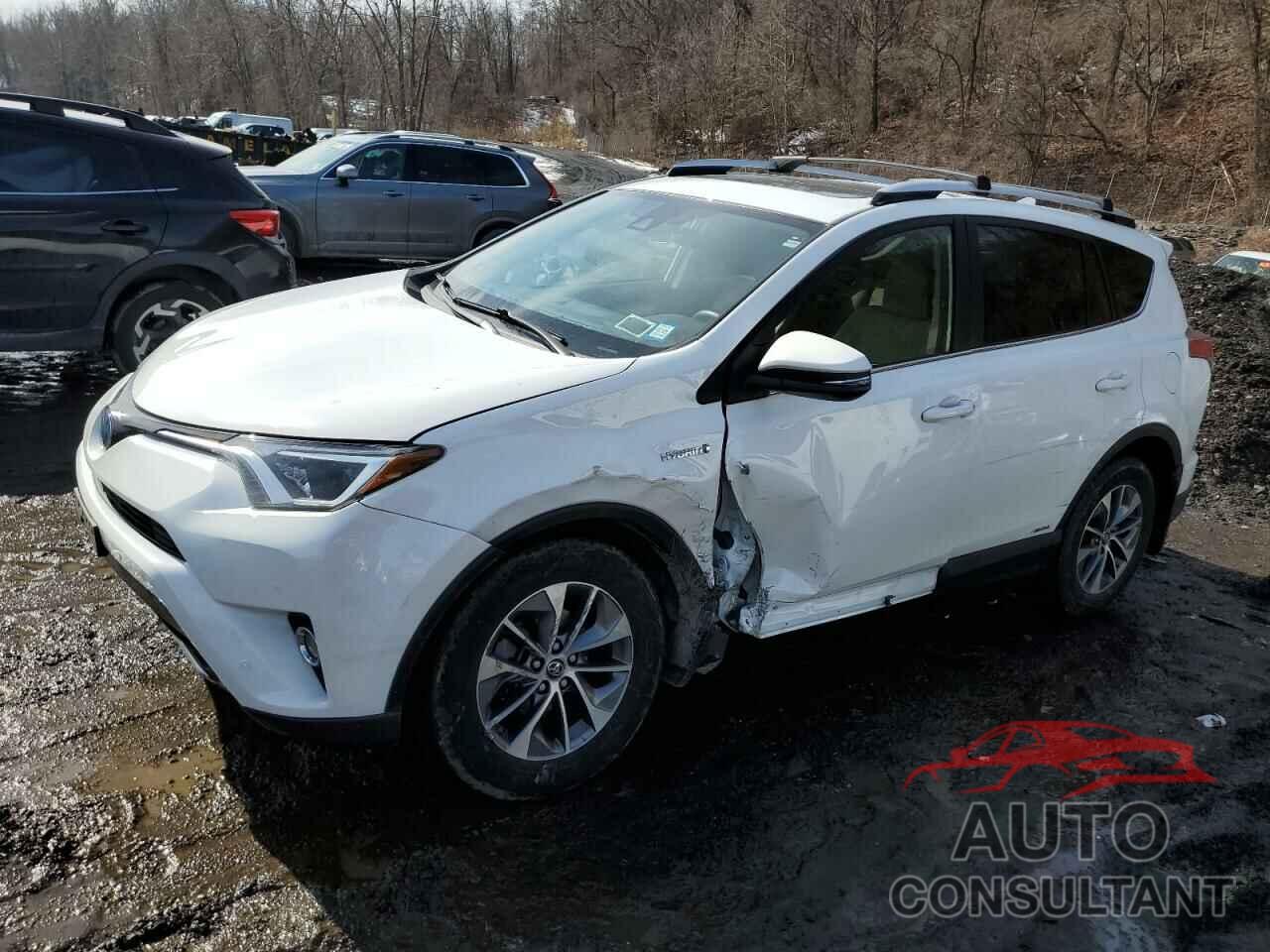 TOYOTA RAV4 2016 - JTMRJREV1GD036845
