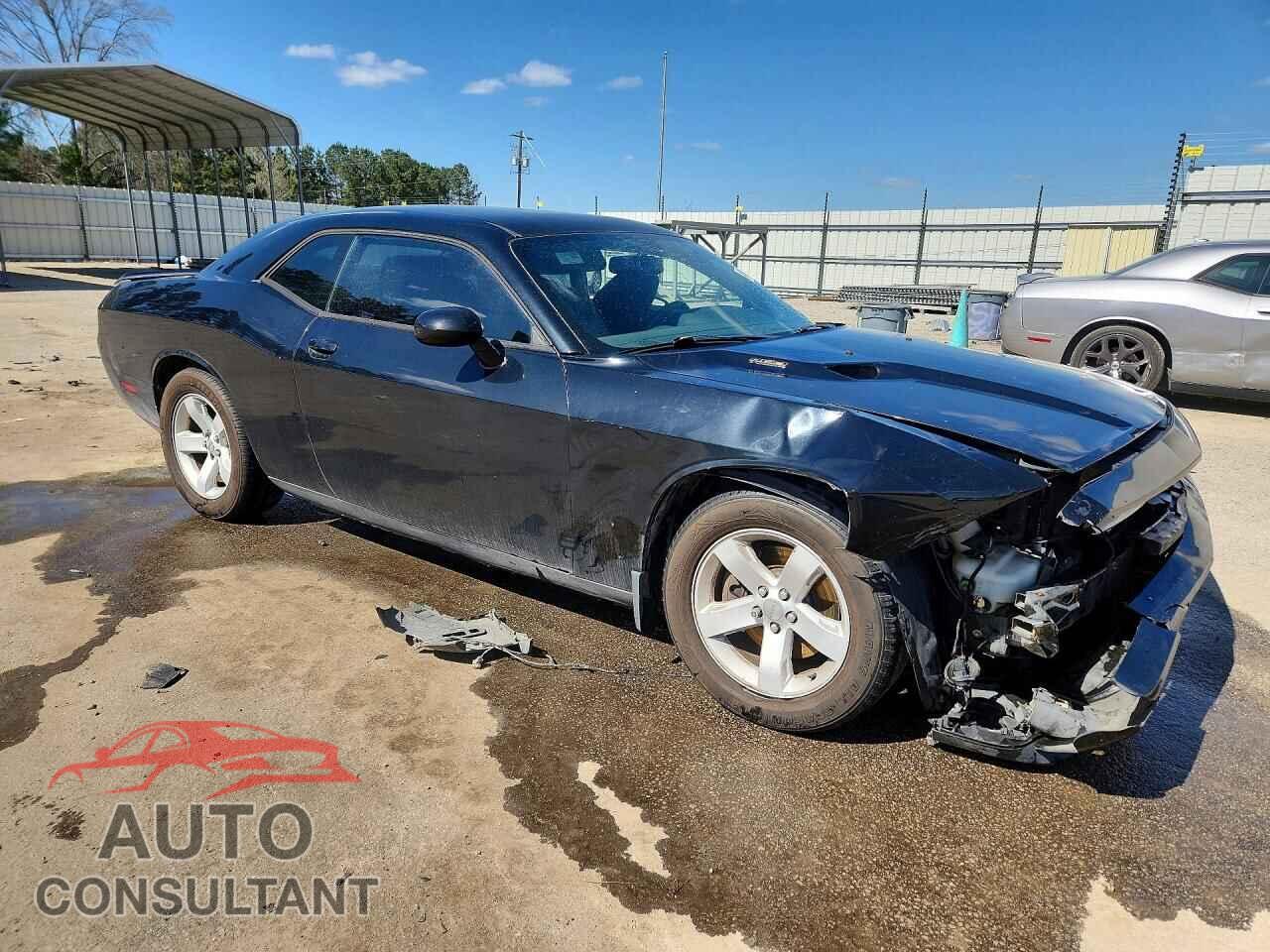 DODGE CHALLENGER 2013 - 2C3CDYBT1DH524285
