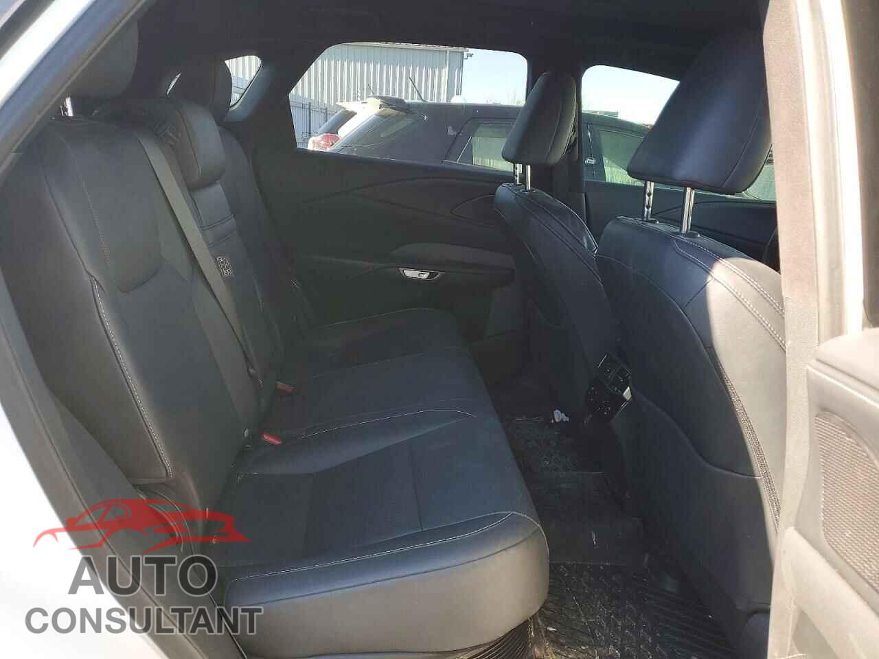 LEXUS UNKNOWN 2023 - 2T2BBMCAXPC016930