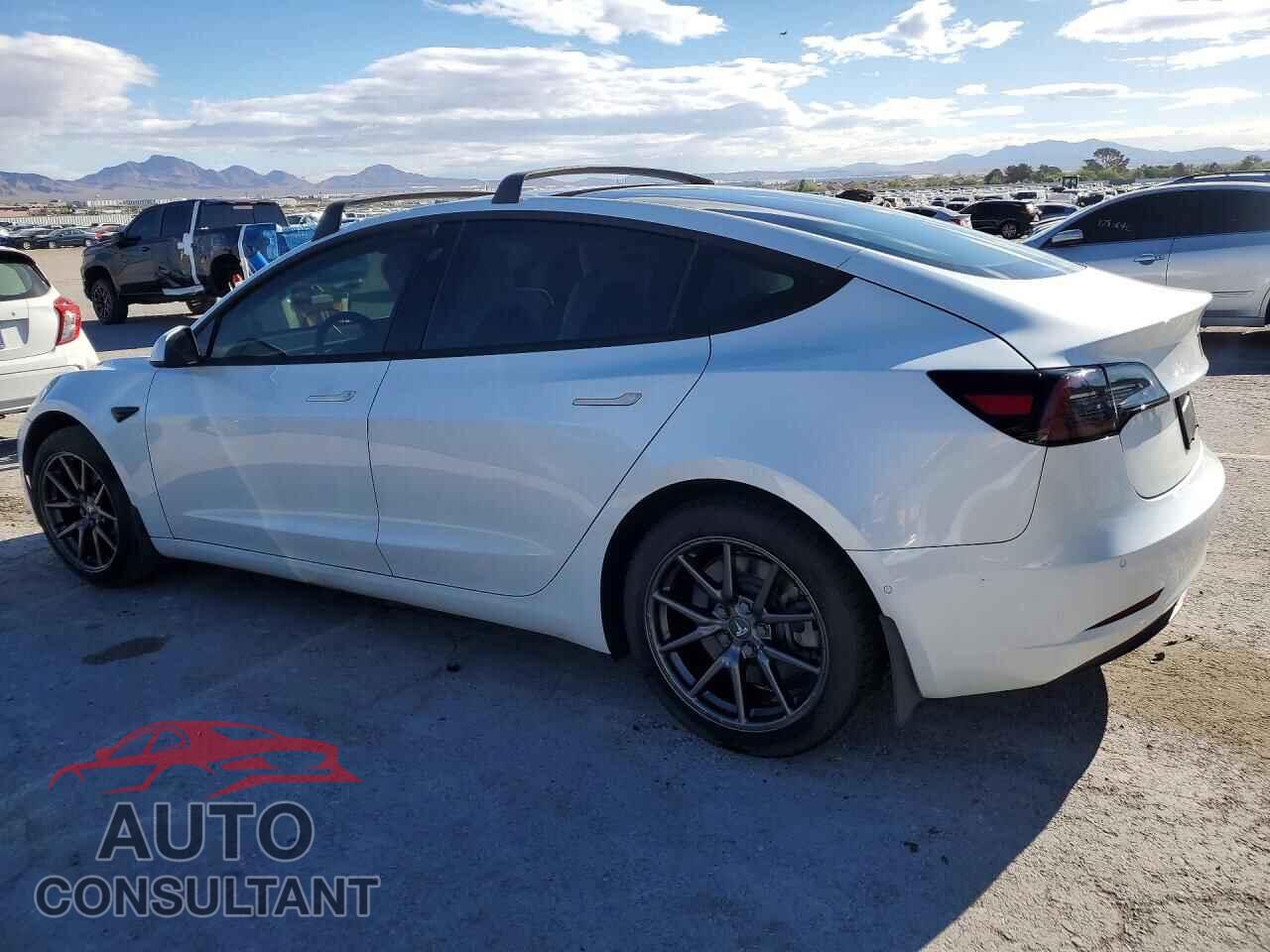 TESLA MODEL 3 2019 - 5YJ3E1EA3KF302019