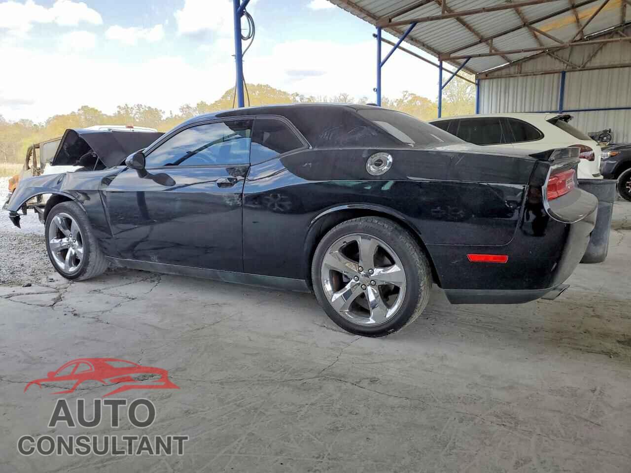 DODGE CHALLENGER 2014 - 2C3CDYAG6EH273897