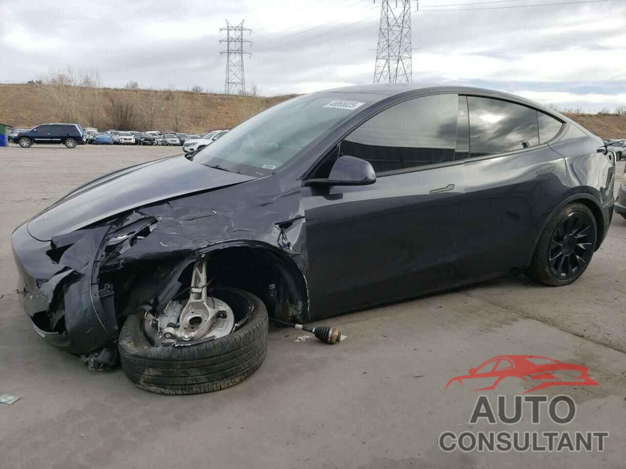 TESLA MODEL Y 2024 - 7SAYGAEE5RF038446