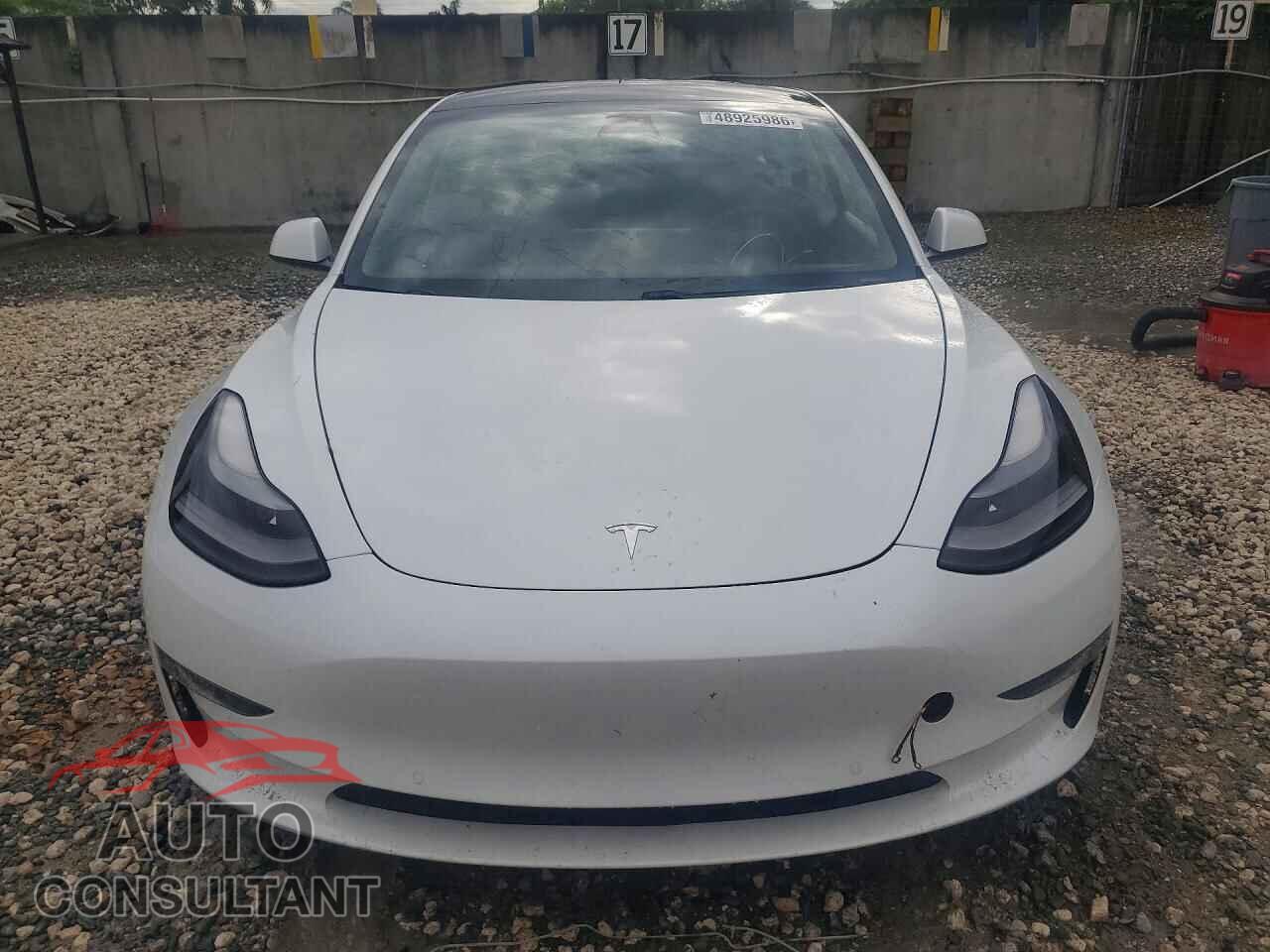 TESLA MODEL 3 2021 - 5YJ3E1EAXMF083532