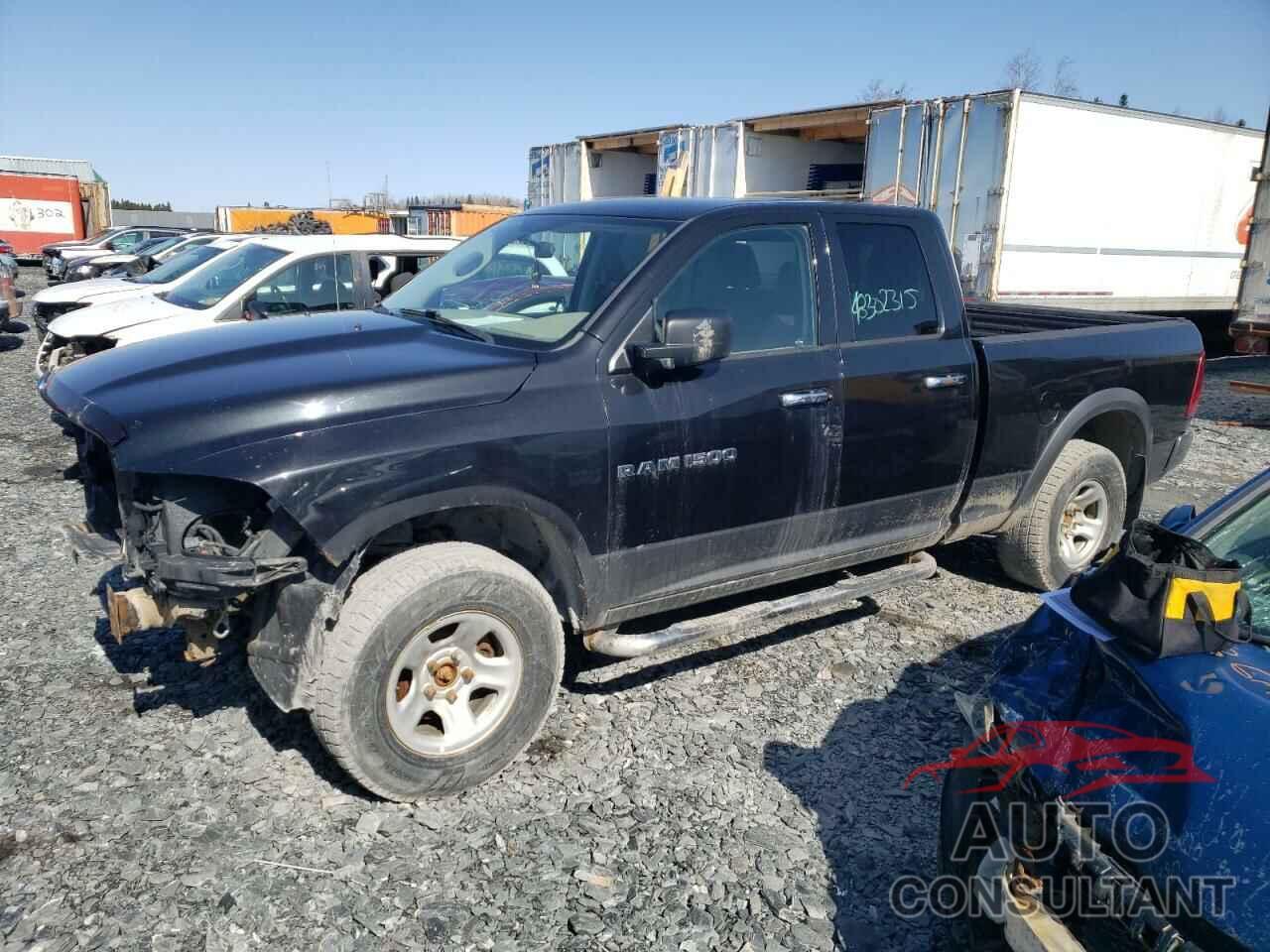 DODGE All Models 2011 - 1D7RV1GT1BS567023