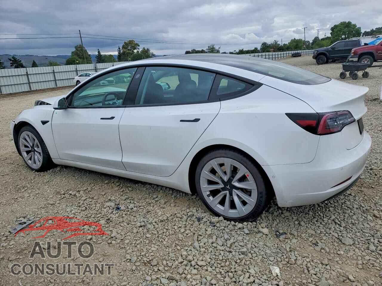 TESLA MODEL 3 2021 - 5YJ3E1EA4MF998439