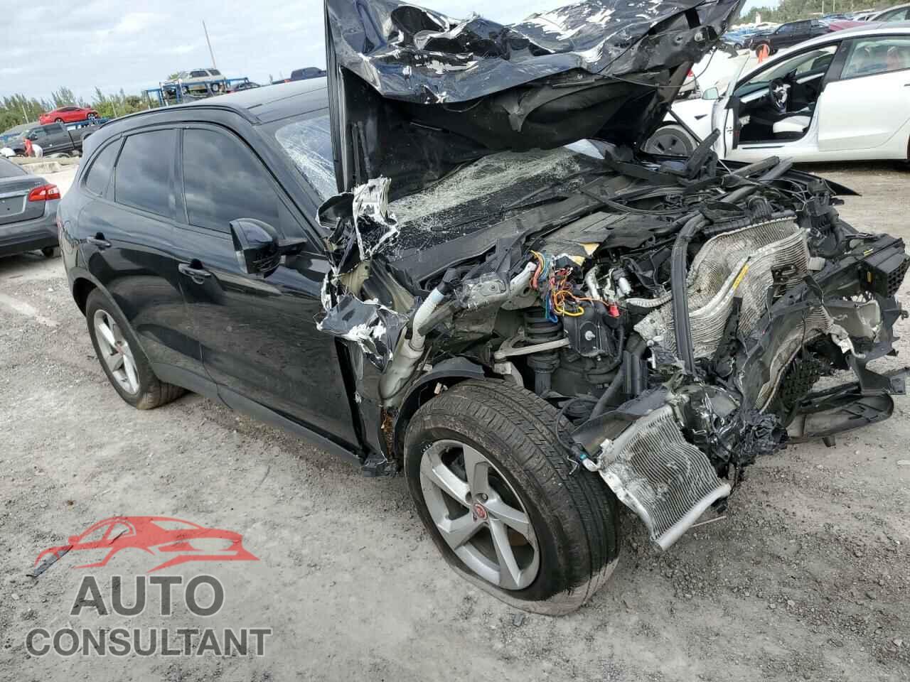 JAGUAR F-PACE 2019 - SADCJ2FX1KA601493