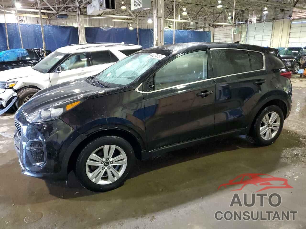 KIA SPORTAGE 2019 - KNDPM3AC1K7533420