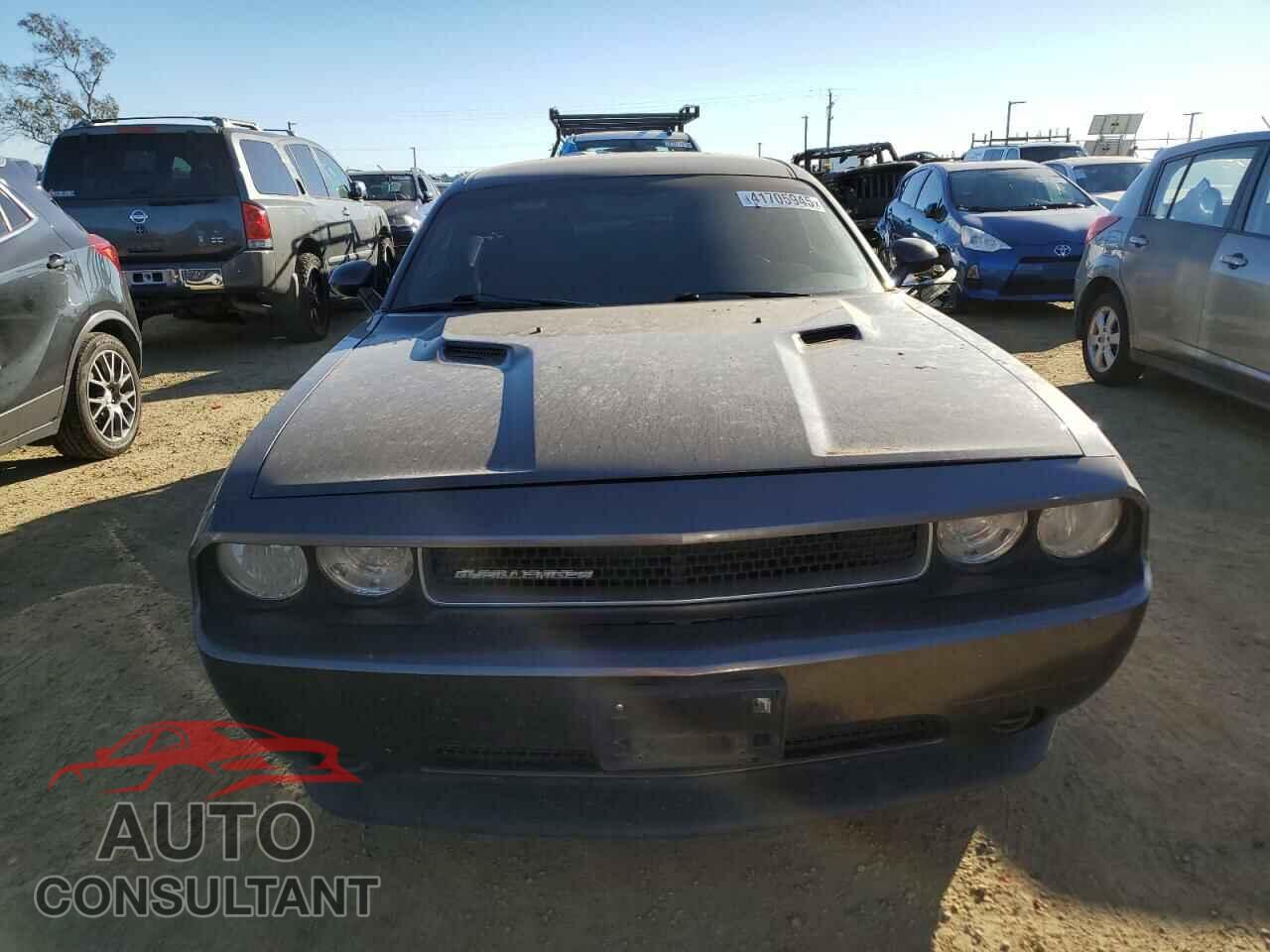 DODGE CHALLENGER 2013 - 2C3CDYAG0DH692424