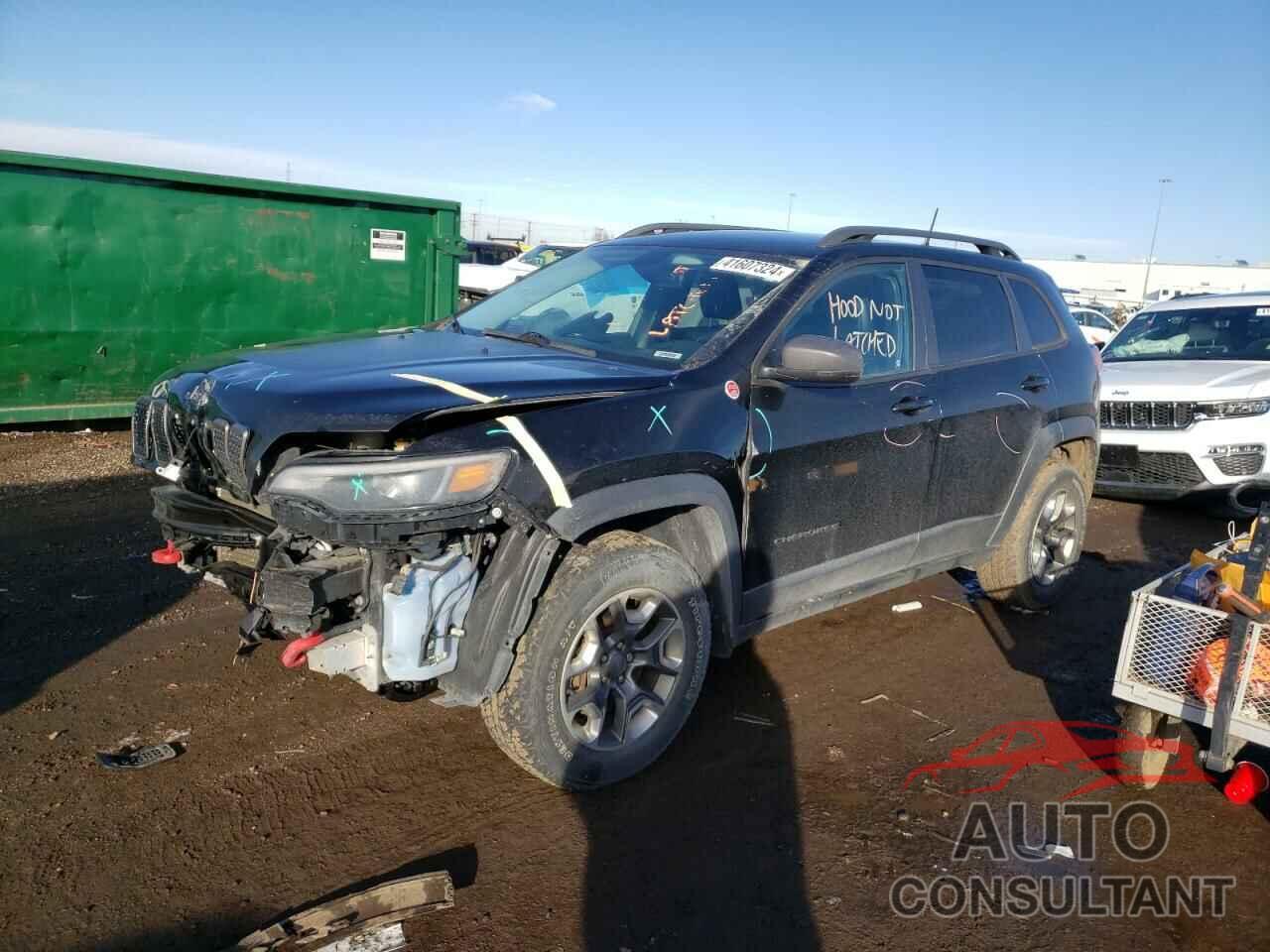 JEEP CHEROKEE 2019 - 1C4PJMBN0KD182841