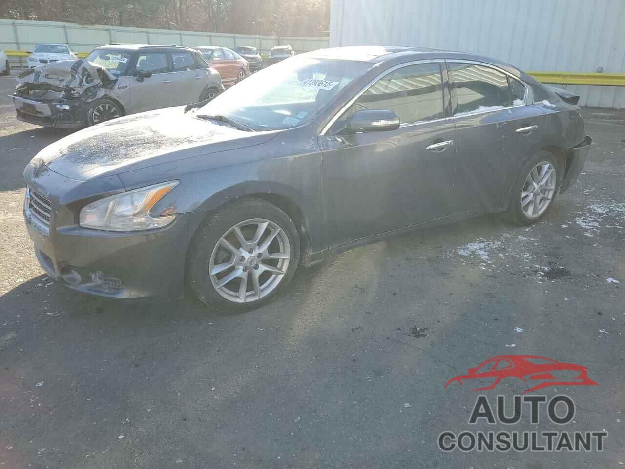 NISSAN MAXIMA 2010 - 1N4AA5AP8AC845887