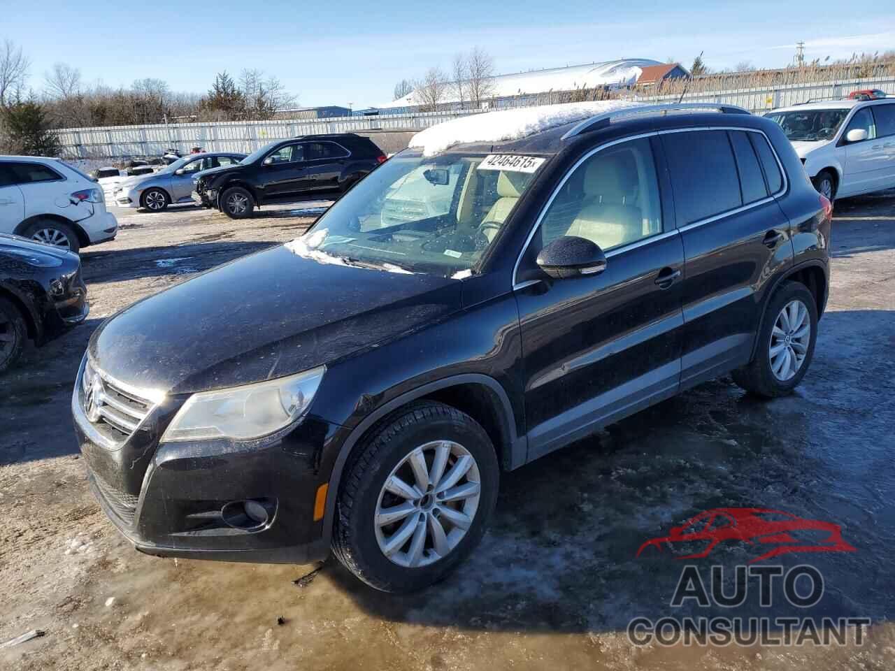 VOLKSWAGEN TIGUAN 2011 - WVGAV7AX8BW526527
