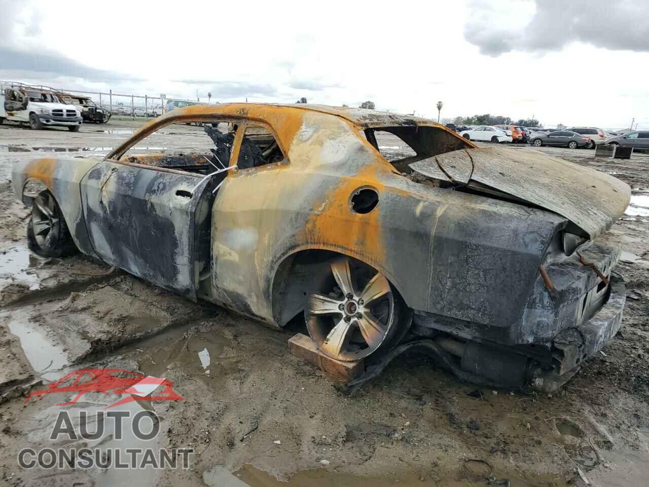 DODGE CHALLENGER 2021 - 2C3CDZBT3MH514055