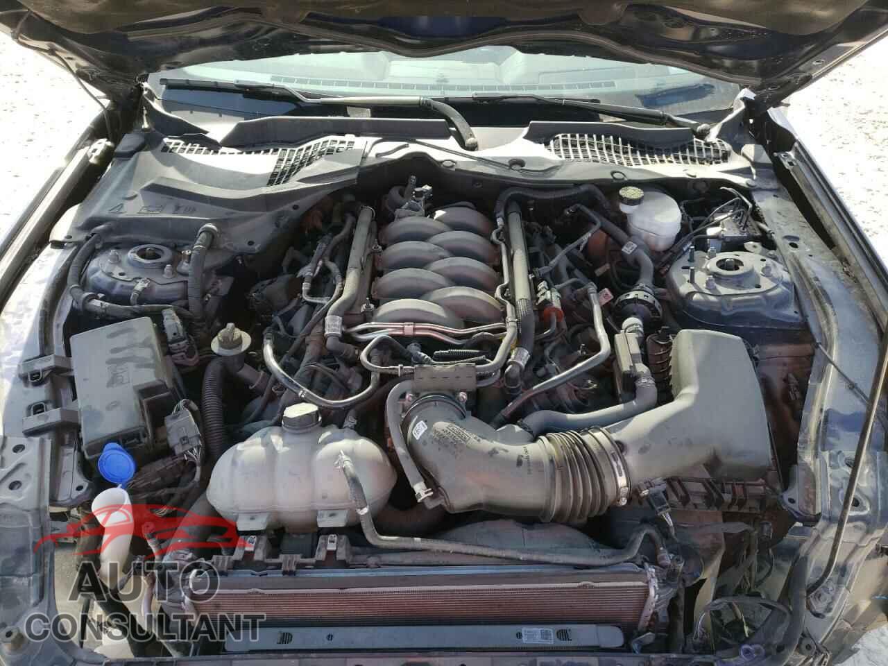 FORD MUSTANG 2020 - 1FA6P8CF1L5181773