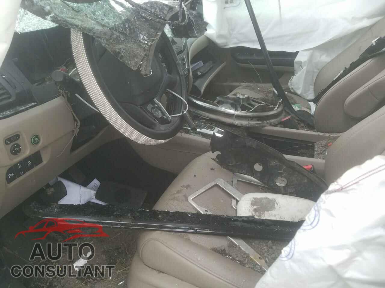 HONDA PILOT 2019 - 5FNYF6H08KB017691