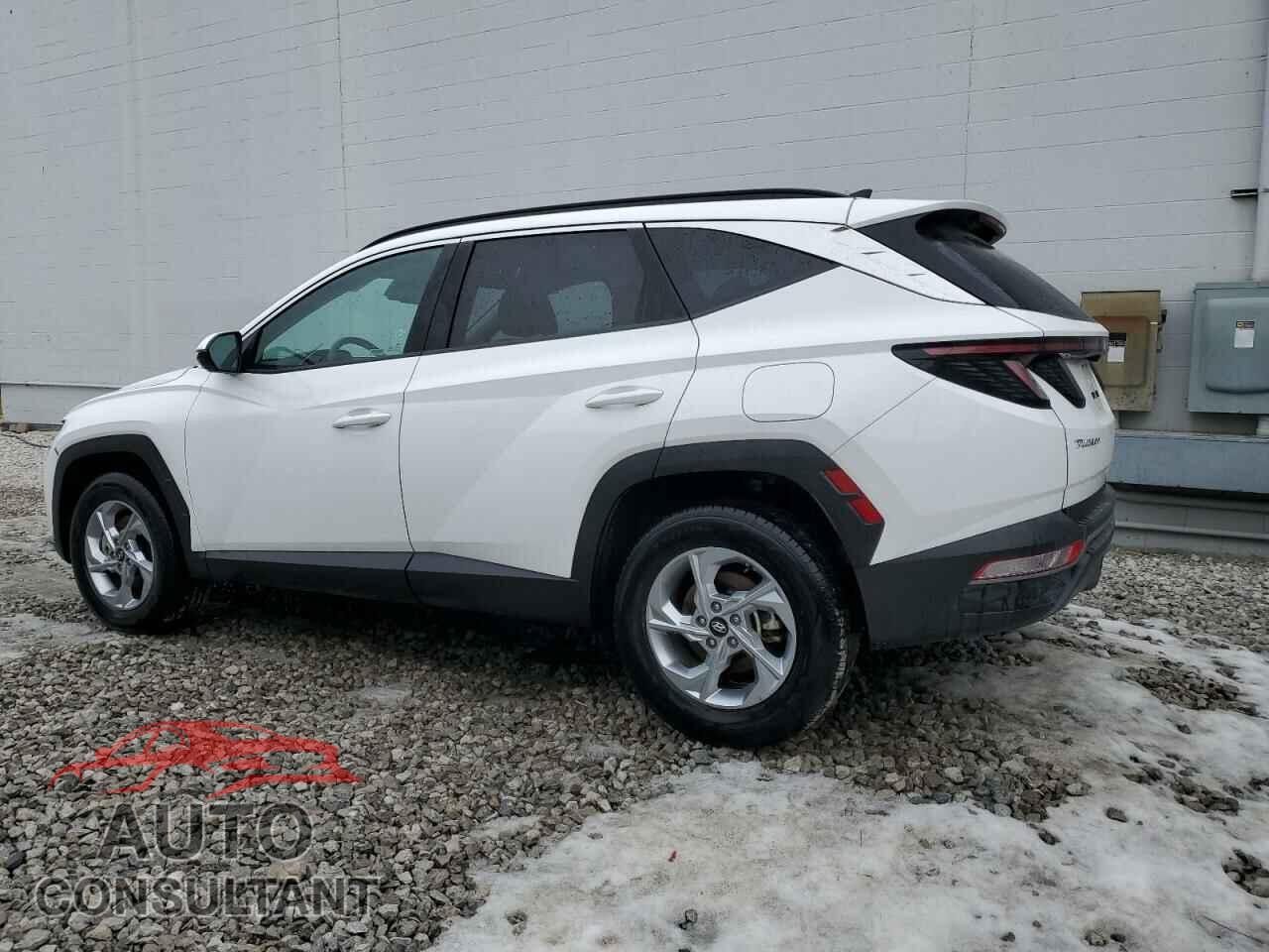 HYUNDAI TUCSON 2023 - 5NMJBCAE1PH216721
