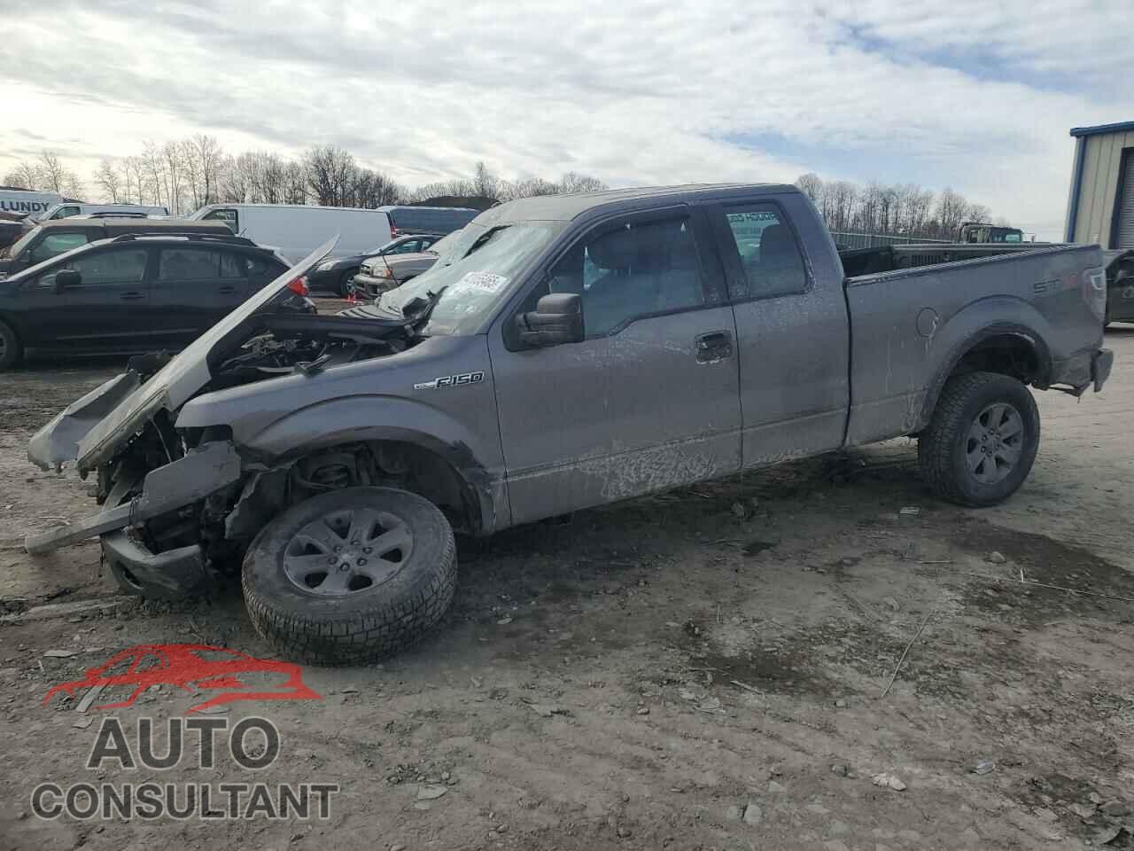 FORD F-150 2013 - 1FTFX1EF8DFB35688