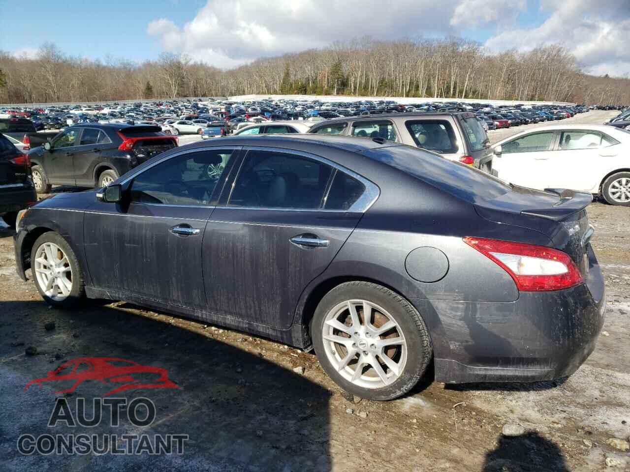 NISSAN MAXIMA 2011 - 1N4AA5AP3BC810692