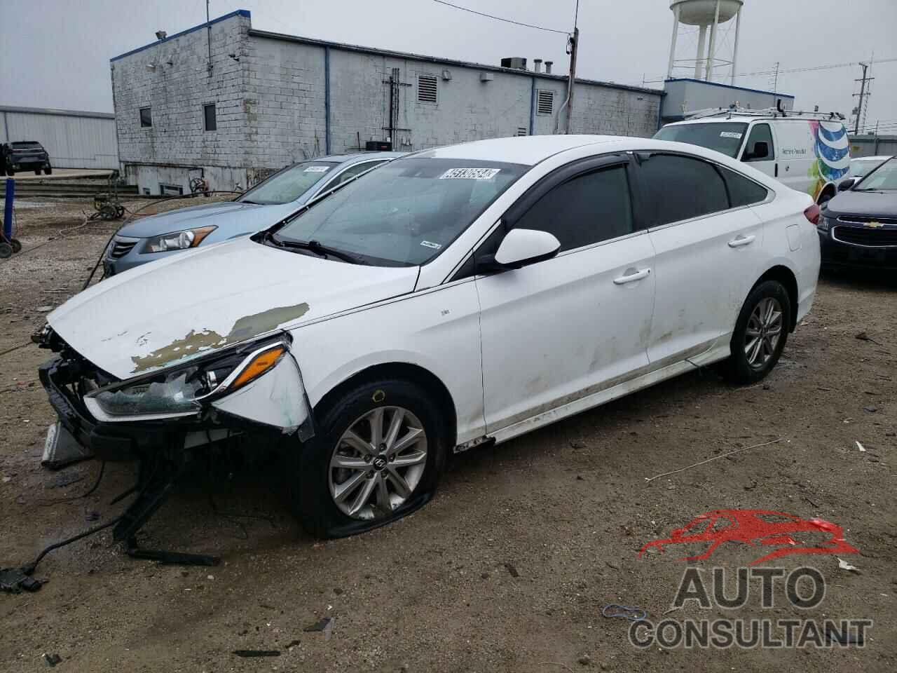 HYUNDAI SONATA 2019 - 5NPE24AF4KH796378