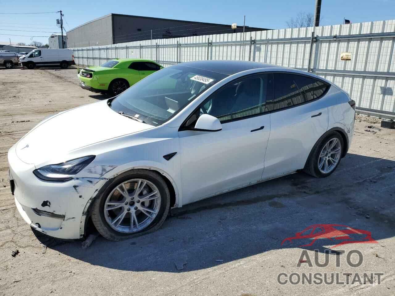 TESLA MODEL Y 2021 - 5YJYGDEE0MF077789