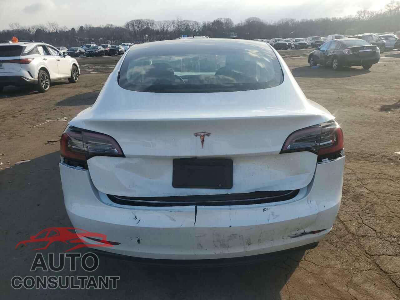 TESLA MODEL 3 2023 - 5YJ3E1EA8PF600458