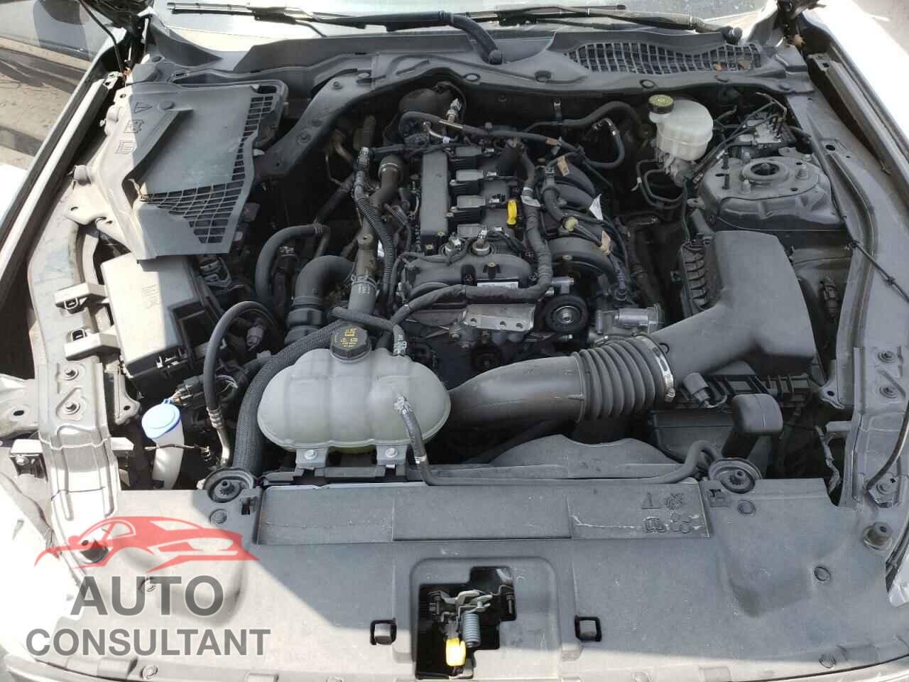 FORD MUSTANG 2021 - 1FA6P8TH9M5118066