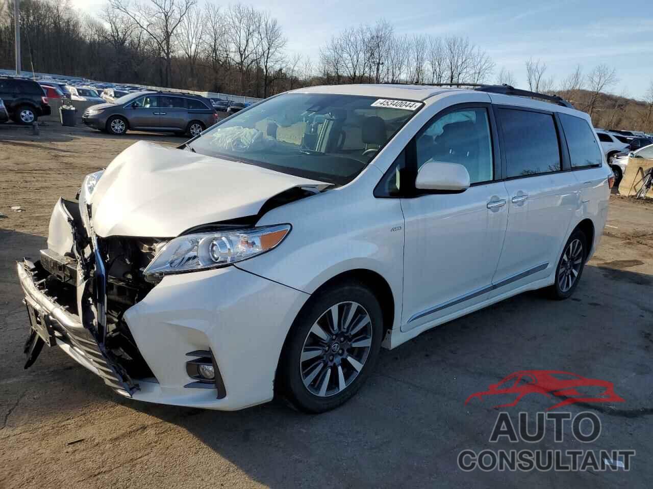 TOYOTA All Models 2019 - 5TDDZ3DC7KS216294