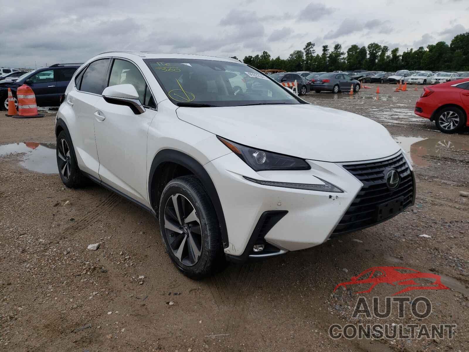 LEXUS NX 2018 - JTJYARBZ9J2091515