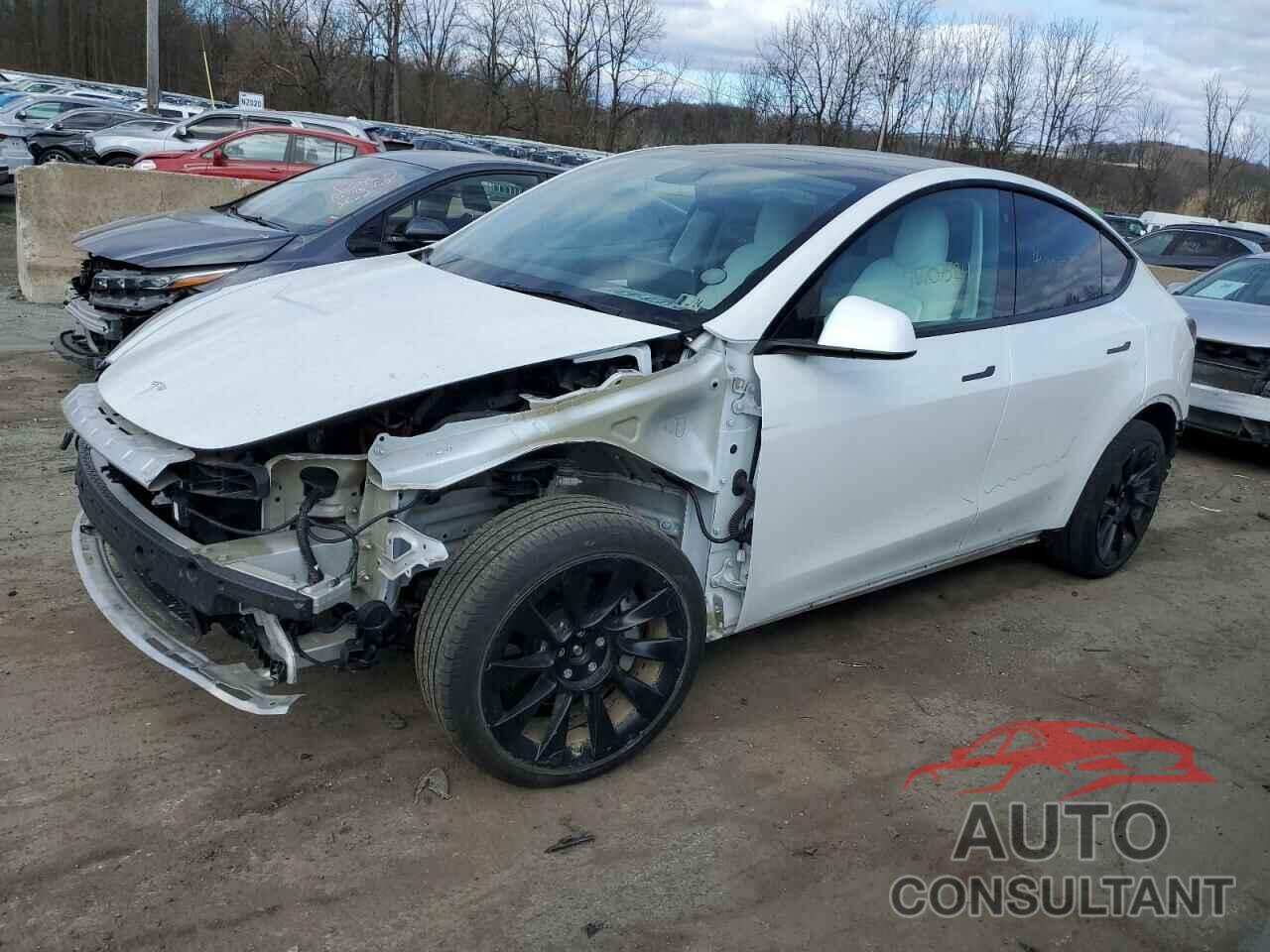 TESLA MODEL Y 2021 - 5YJYGDEEXMF225107