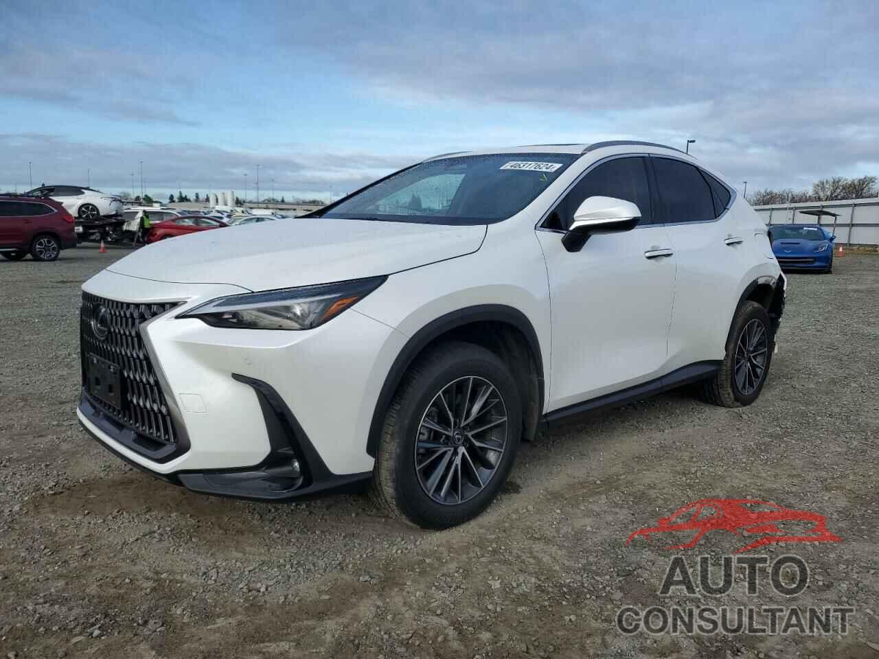 LEXUS NX 350H BA 2024 - JTJGKCEZ8R2020206