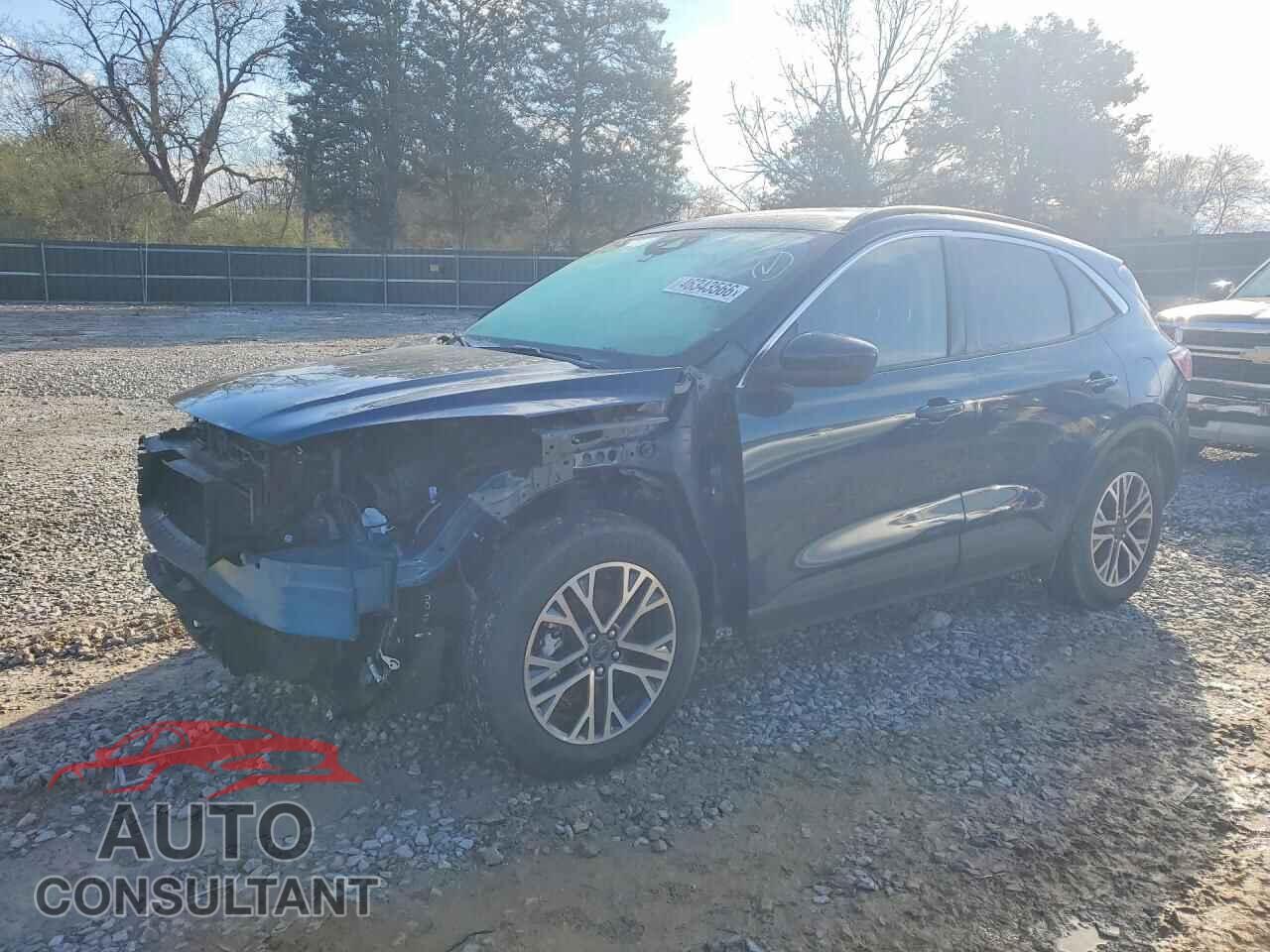 FORD ESCAPE 2020 - 1FMCU0H69LUA46283