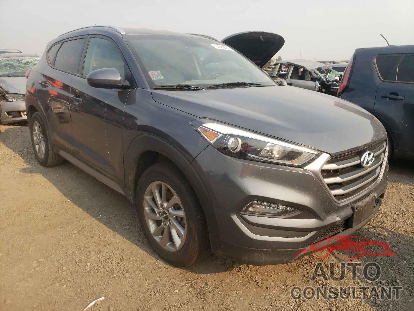 HYUNDAI TUCSON 2017 - KM8J3CA49HU386092