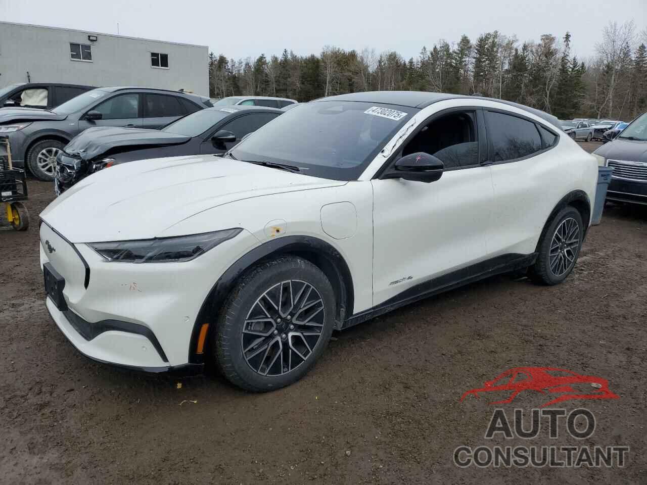 FORD MUSTANG 2024 - 3FMTK3S52RMA00900