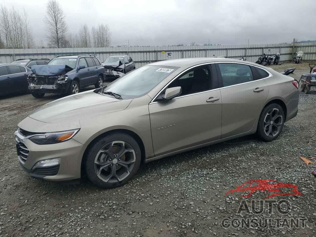 CHEVROLET MALIBU 2022 - 1G1ZD5ST0NF174275