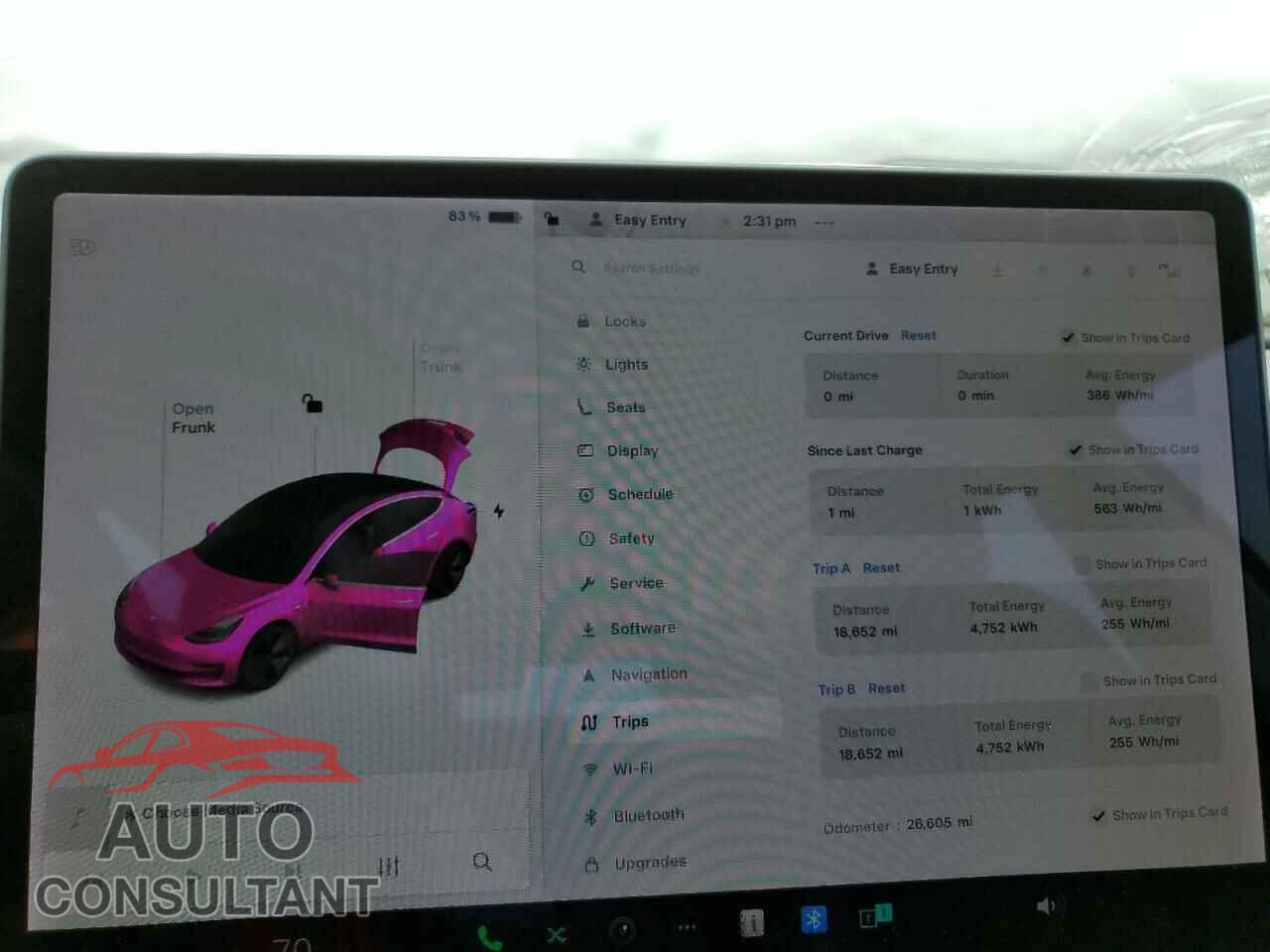 TESLA MODEL 3 2020 - 5YJ3E1EA9LF745101
