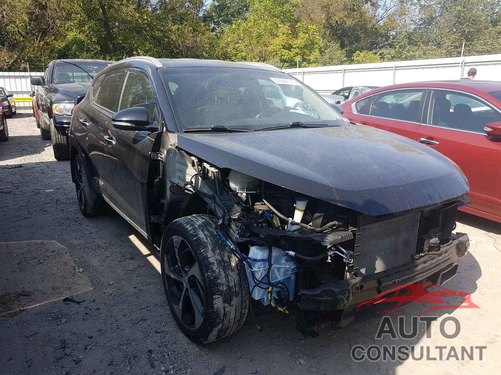 HYUNDAI TUCSON 2016 - KM8J33A23GU068207