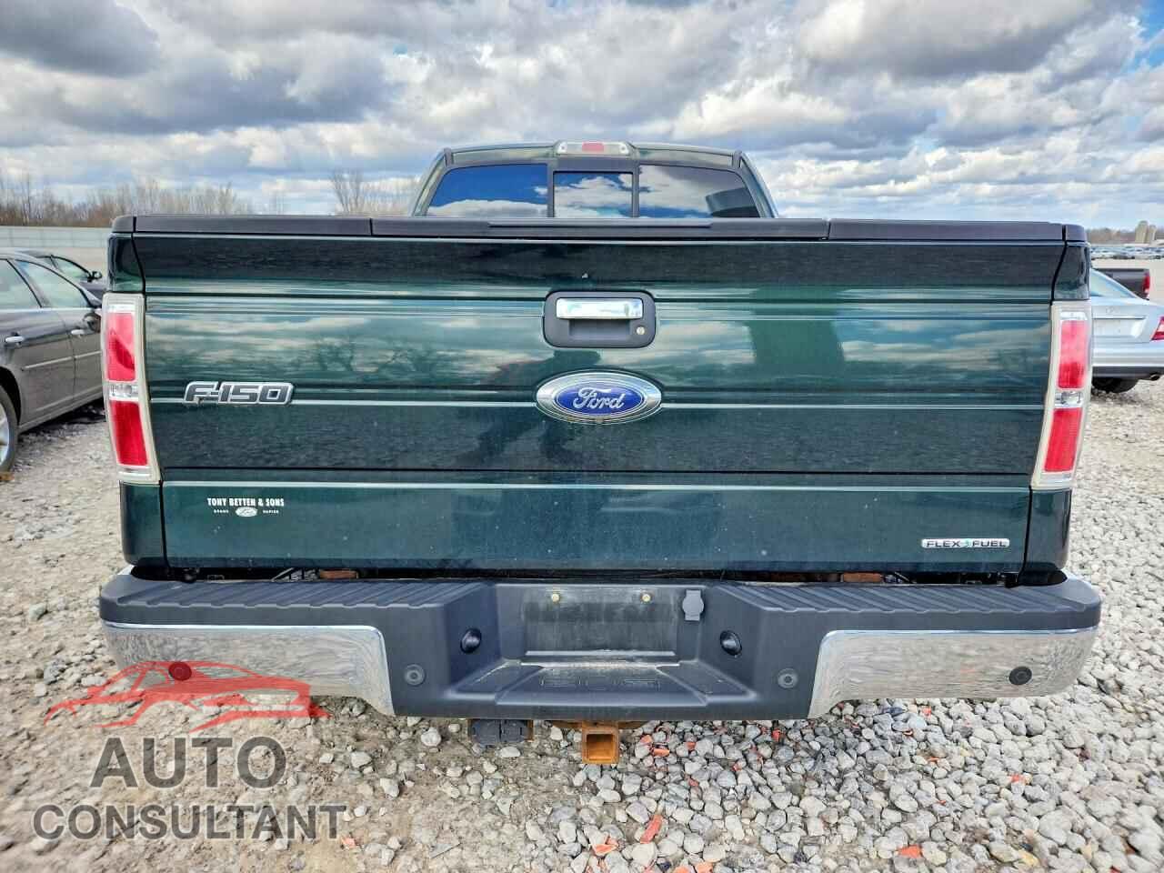 FORD F150 2014 - 1FTFX1EF4EFA68962